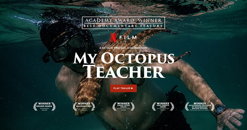 My Octopus Teacher & other Transformational Water Stories