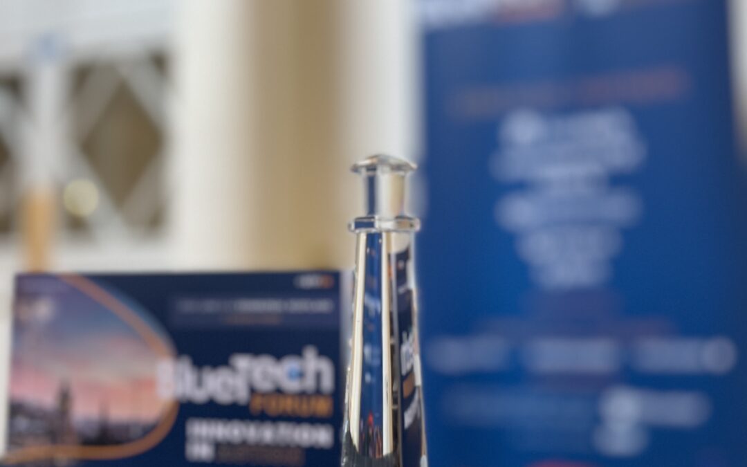 Lighthouse Awards 2024: these are the winners