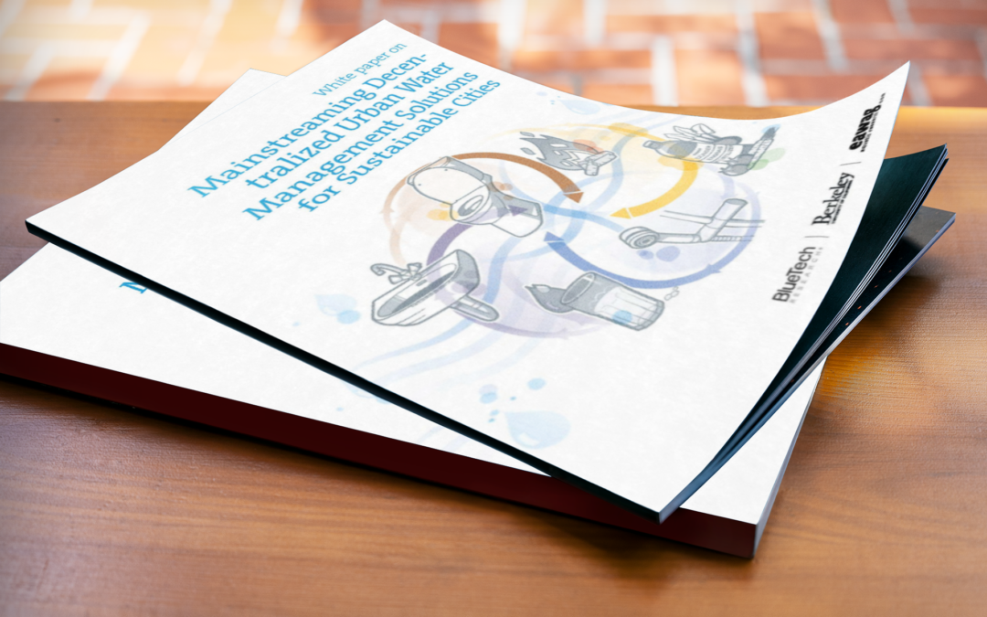 Whitepaper on Decentralized Urban Water Management Solutions