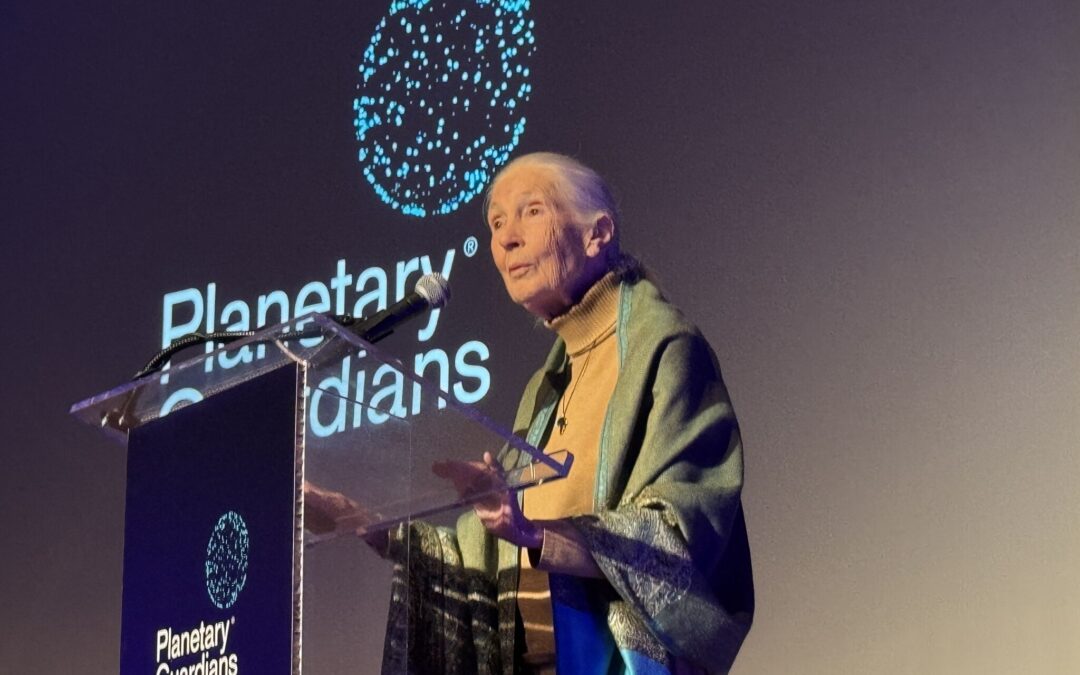History in the making: what I learned from sharing a room with Jane Goodall
